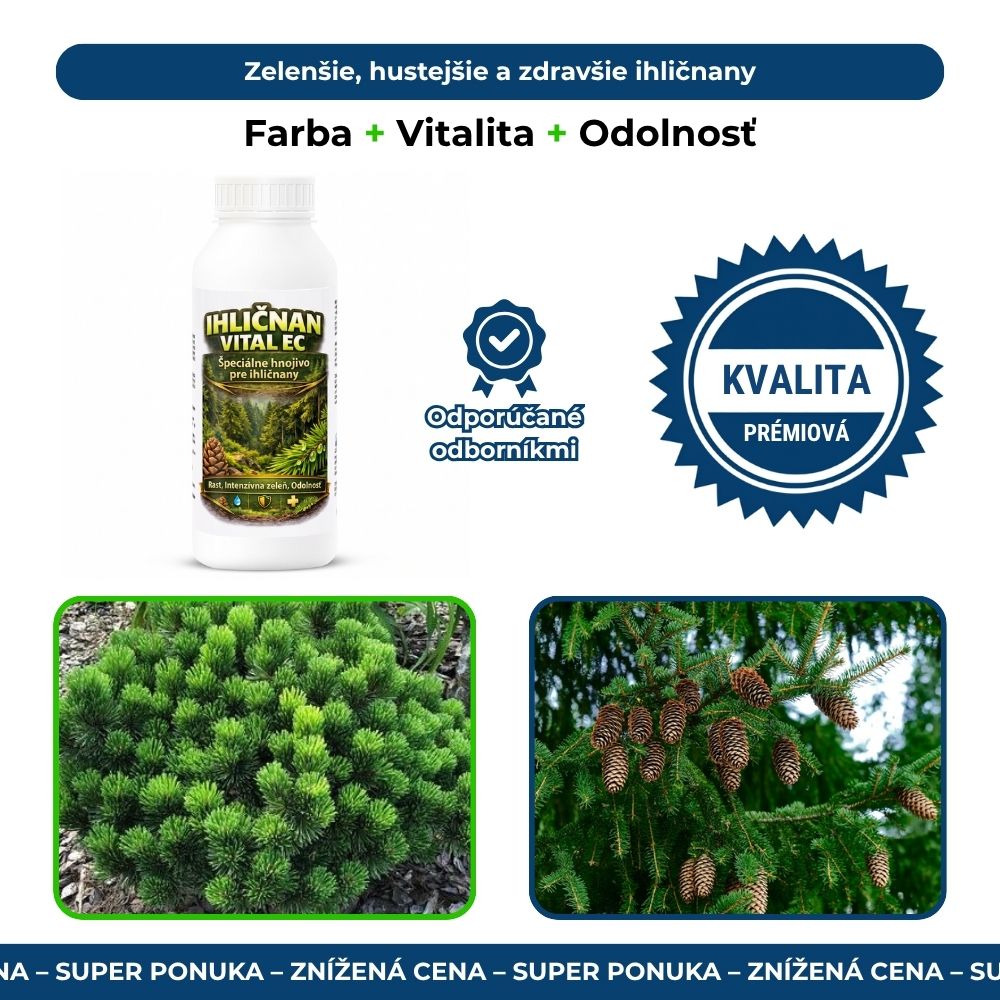 Ihličnan Vital EC