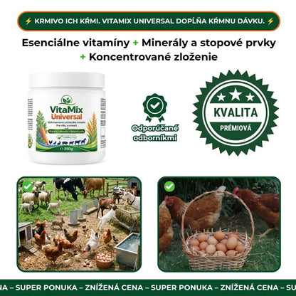 VitaMix Universal
